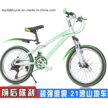 Ly-C-600 20&quot; Cooles Mountainbike für Kinder